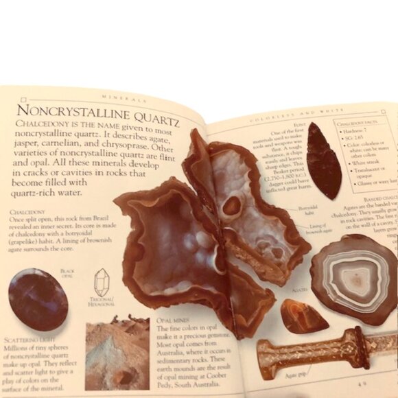 Rocks and Minerals (Pockets) Paperback 1995 - Picture 3 of 5